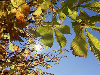 Goldener Oktober in Franken? So wird das Wetter am Wochenende