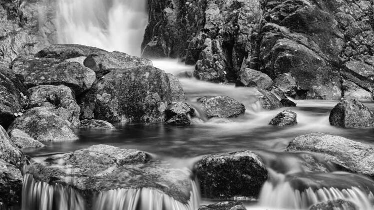 1. Preis "Wasser": "Frisch und wild" von Hans Hager, Thurnau