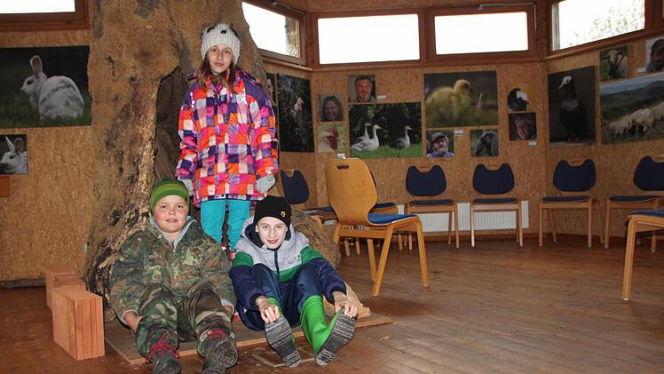 Noah (von links), Jessica und Daniel machen bei den Junior Rangern vom Haus der Schwarzen Berge in Oberbach mit. Foto: Ulrike Müller
