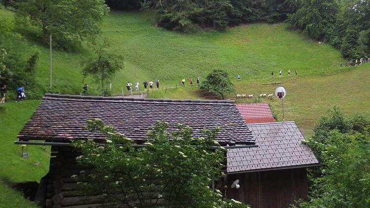 Die Läuferschlange bewegt sich nach oben.
