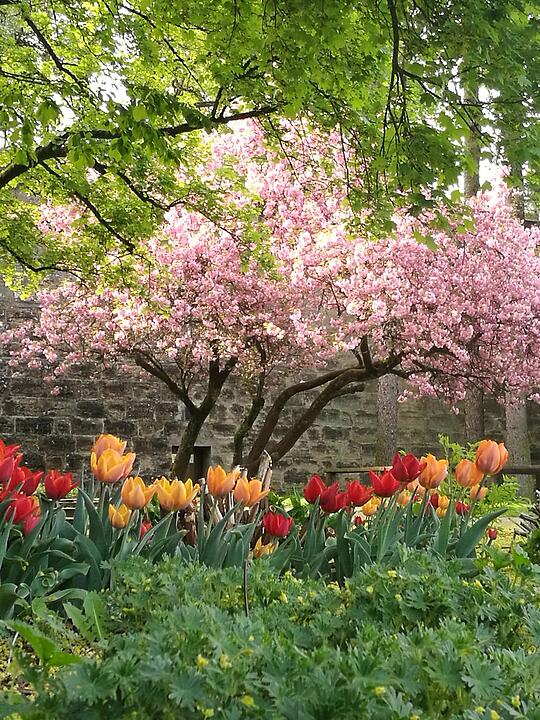 Frühling in Forchheim und Umgebung: Die schönsten Fotos unserer Nutzer