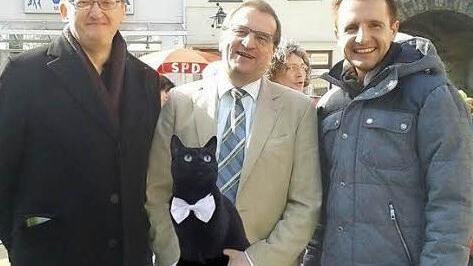 Gruppenbild mit Kater: Die Kandidaten Dippold, Brand und Hügerich (von links) mit dem sanftpfotigen Kollegen. Fotomontagen: Benjamin Apel