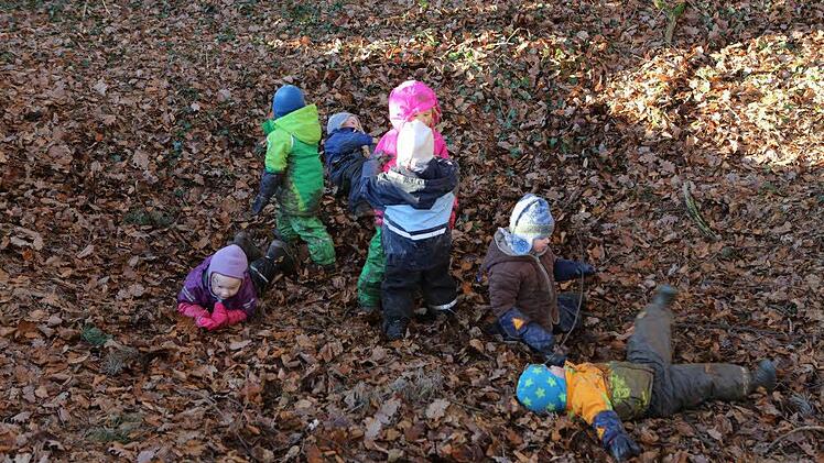 Der Wald ist ihr Revier. Foto: Barbara Herbst