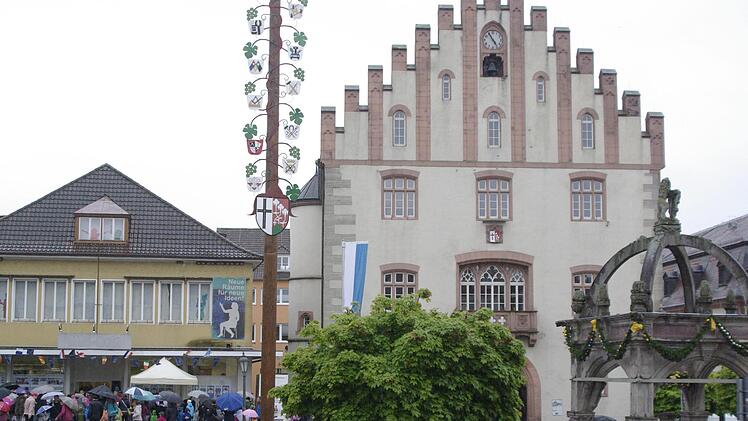 Der viel bewunderte Zunftbaum hat wieder seinen Platz am Marktplatz eingenommen.  Fotos: Winfried Ehling