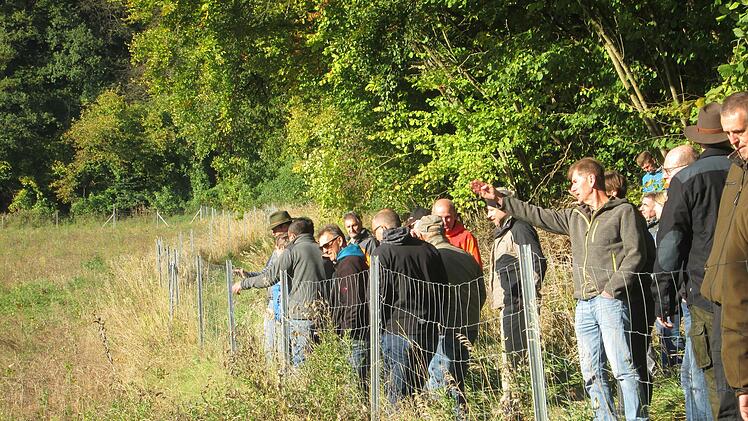 Auf rund zwei Hektar gezäunter Fläche im "Helmsthal" entsteht ein Areal aus Eichen, Hainbuchen und Linden als Ausgleich für die zum Bau der Windkraftanlagen benötigte Fläche.