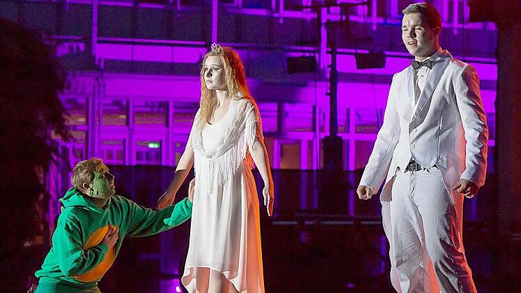 Viele tolle Solisten gab es bei der Aufführung von "Tabaluga & Lilli" im Rosengarten (von links): Felix Gögel als Tabaluga, Fenna Kreuz als Lillli und Nicolaus Utzschneider als Arktos.Fotos: Albert Höchstädter