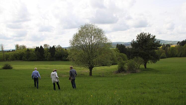 Sogar eine mittelalterliche Turmburg könnte am Osterrain gestanden haben. Foto: Ulrike Müller