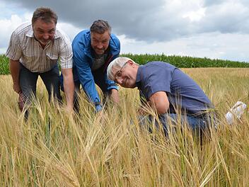 Stellvertretender BBV-Kreisobmann Wolfgang Schultheiß, Jürgen Heymann und Hans Rebelein betrachten Zwiewuchs in einem Feld mit Wintergerste. Dieses Problem darf schon jetzt nicht mehr mit Glyphosat bekämpft werden. Rainer Lutz