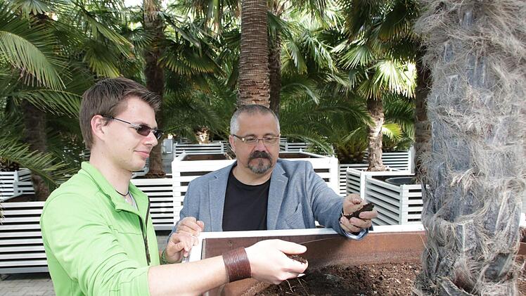 Andreas Munack und Holger Paff begutachten Erde und Wurzelraum in den Kübeln. Foto: Ralf Ruppert