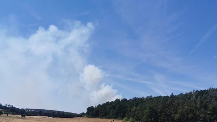 Waldbrand ruft Feuerwehr auf den Plan