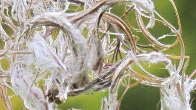 Userfoto: Holger Hentschel