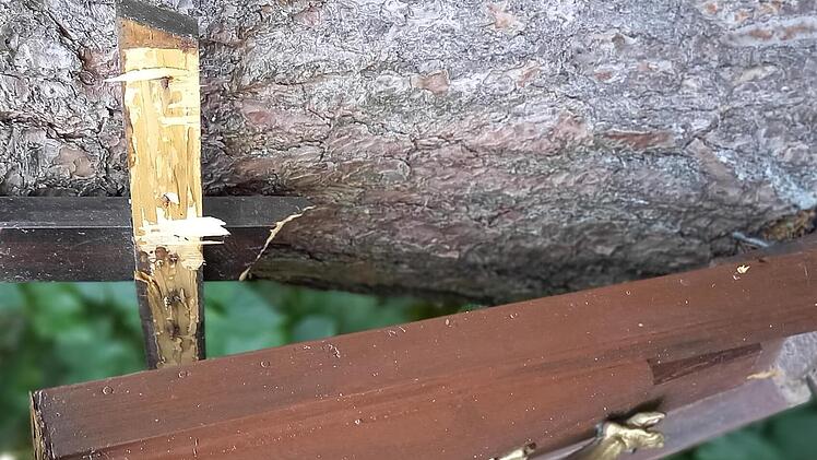 Angefahren oder mutwillig zerstört: Der Tathergang ist unbekannt. Foto: Kerstin Junker