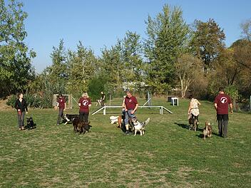 Training mit den Vierbeinern auf dem Vereinsgelände des 1. FC Hund e.V. in Lichtenfels unweit des Wasserturmes Foto: Holger Greim