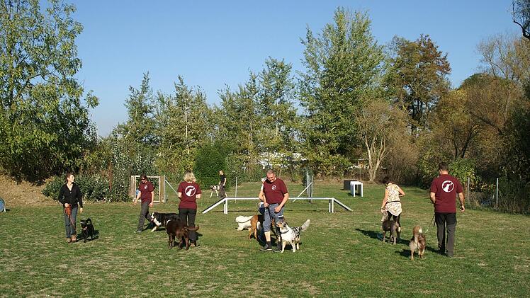 Training mit den Vierbeinern auf dem Vereinsgelände des 1. FC Hund e.V. in Lichtenfels unweit des Wasserturmes Foto: Holger Greim