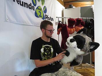 Sorgfältig pflegt und striegelt Rafael Schneidawind den Fellkopf vom Graufuchs. Foto: Monika Schütz