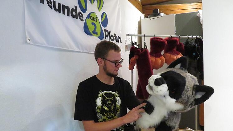 Sorgfältig pflegt und striegelt Rafael Schneidawind den Fellkopf vom Graufuchs. Foto: Monika Schütz