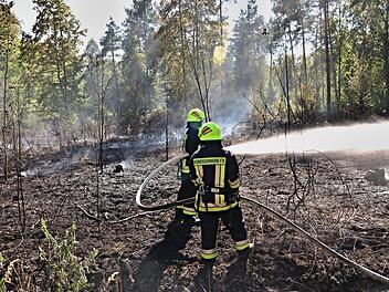 Der Waldbrand zwischen den Ortschaften Eyrichshof und Fischbach (Stadt Ebern) forderte seinen Tribut.Helmut Will