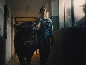 Das romantische Sozialdrama "Alle die du bist" erz&auml;hlt die Geschichte von Nadine (Aenne Schwarz). Sie nimmt ihren Partner regelm&auml;&szlig;ig in Form verschiedener Gestalten war, auch als Bulle.