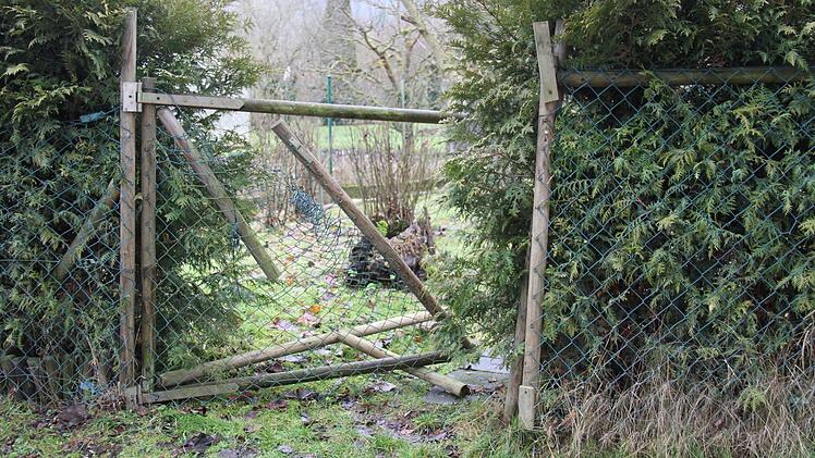 Hier haben der oder die Täter nur das Tor kaputt gemacht. Im Gartenhäuschen waren sie nicht.