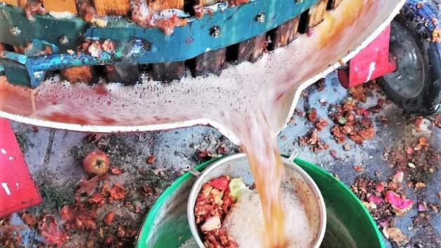 Die Fendt-Freunde Bocklet veranstalten am Samstag, 21. September erstmals ein Erntedank-Mostpressen. Die alte Presse wurde m&uuml;hevoll restauriert und funktioniert, wie man sieht: Der fruchtige Apfelsaft l&auml;uft aus der Spindelpresse durch ein Sieb in einen Saftbeh&auml;lter. Matthias Grom