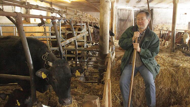 Macht es sich gemütlich neben seinen schwarzen Rindern aus Nippon: Naomi Goi.