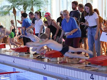 Mit dem Willen, als Erste anzuschlagen und eine gute Zeit zu schwimmen, traten 250 junge Schwimmerinnen und Schwimmer aus 18 Schulen im Landkreis Coburg beim 48. Kreisschwimmfest in Neustadt an. Foto: Michael Stelzner