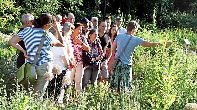 Zum Aromagartenfest gibt es mehrere Themenführungen durch das Gelände. Foto: Katrin Simon