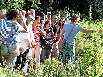 Zum Aromagartenfest gibt es mehrere Themenf&uuml;hrungen durch das Gel&auml;nde. Foto: Katrin Simon