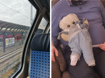 Teddy verzweifelt gesucht: Stofftier ging im Zug verloren - nach &uuml;ber 40 gemeinsamen Jahren