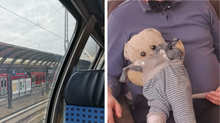 Teddy verzweifelt gesucht: Stofftier ging im Zug verloren - nach &uuml;ber 40 gemeinsamen Jahren