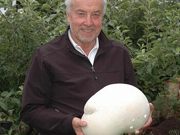 Georg Renninger mit seinem Riesen-Bovist. Foto: Peter Klopf