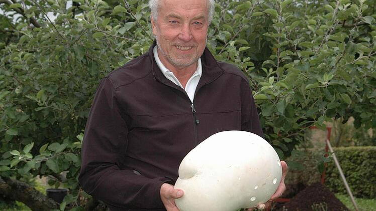 Georg Renninger mit seinem Riesen-Bovist. Foto: Peter Klopf