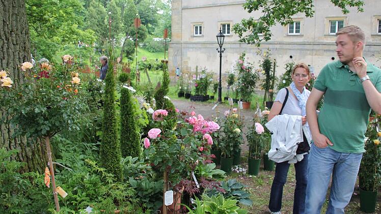 Jede Menge Rosensorten gibt es zu bewundern.