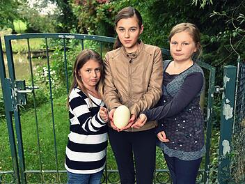 Beim Radeln haben Janette, Jana und Lavina Sievers ein Nandu-Ei auf einer Wiese in der Nähe eines Teiches gefunden. Jetzt rätseln wie die Fachleute, wie das Ei da hin gekommen ist.  Fotos: Gabi Arnold