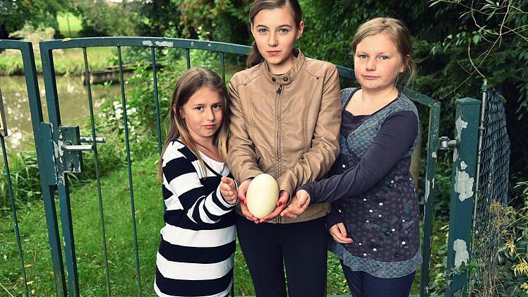 Beim Radeln haben Janette, Jana und Lavina Sievers ein Nandu-Ei auf einer Wiese in der Nähe eines Teiches gefunden. Jetzt rätseln wie die Fachleute, wie das Ei da hin gekommen ist.  Fotos: Gabi Arnold