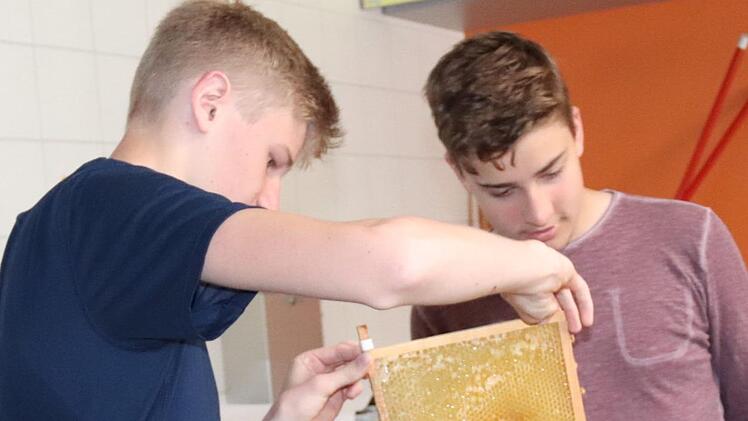Henrik setzt eine neue Wabe in die Schleuder ein, daneben Tobias.  Foto: Johanna Blum