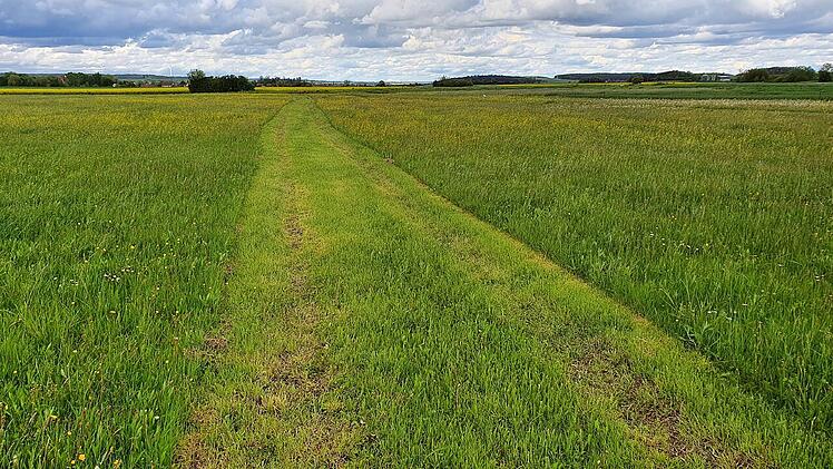 N&uuml;rnberg: Regierung Mittelfranken bewilligt F&ouml;dergelder f&uuml;r den Naturschutz
