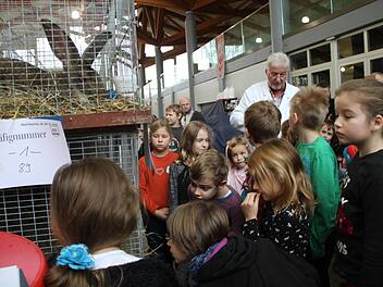 Im Vorfeld des Leistungswettbewerbs der  Oberfränkischen Rassekaninchenzüchter war viel über Kaninchen und die verschiedenen Rassen zu erfahren. Foto: Gerda Völk
