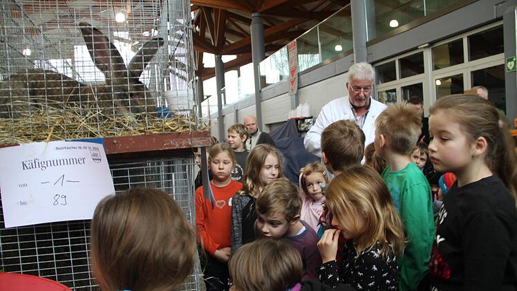 Im Vorfeld des Leistungswettbewerbs der  Oberfränkischen Rassekaninchenzüchter war viel über Kaninchen und die verschiedenen Rassen zu erfahren. Foto: Gerda Völk