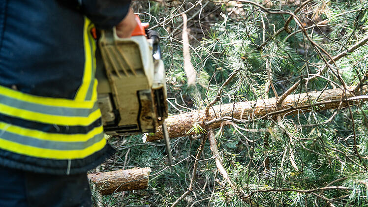 Mann fällt aus Fahrerkabine: Lastwagen fährt führerlos in Waldstück