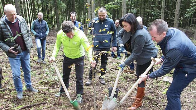 Neue B&auml;ume, neue Hoffnung. Eine Jung-Hainbuche gruben (von links) Wahlkreisleiter Detlef Heim, Forstangestellter Bernd Volpert, F&ouml;rster Rainer Br&auml;unig, Staatsministerin Dorothee B&auml;r und B&uuml;rgermeister Ren&eacute; Gerner ein. Die Fotos entstanden vor dem Lockdown.  Fotos: Winfried Ehling