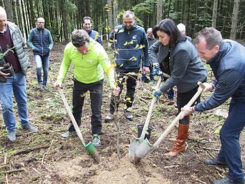 Neue Bäume, neue Hoffnung. Eine Jung-Hainbuche gruben (von links) Wahlkreisleiter Detlef Heim, Forstangestellter Bernd Volpert, Förster Rainer Bräunig, Staatsministerin Dorothee Bär und Bürgermeister René Gerner ein. Die Fotos entstanden vor dem Lockdown.  Fotos: Winfried Ehling