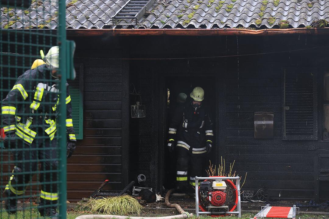 Oberfranken: Gartenhaus geht in Flammen auf - drei Welpen und eine Katze sterben