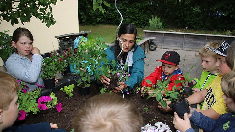 Impressionen vom Pilotprojekt der Kulmbacher Urban-Gardening-Gruppe mit den Melkendorfer Grundschülern Dagmar Besand