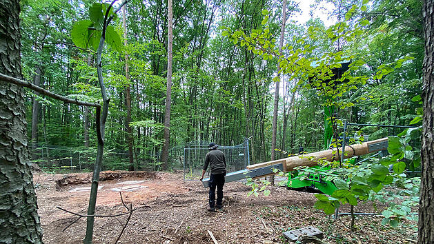 Tiergarten N&uuml;rnberg legt Grundstein f&uuml;r neue Attraktion - Sprecherin verr&auml;t erste Details