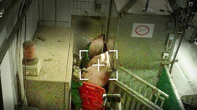 Heimlich gefilmte Videos aus dem Schlachthof Kulmbach hatten bei Tiersch&uuml;tzern f&uuml;r Entsetzen gesorgt.