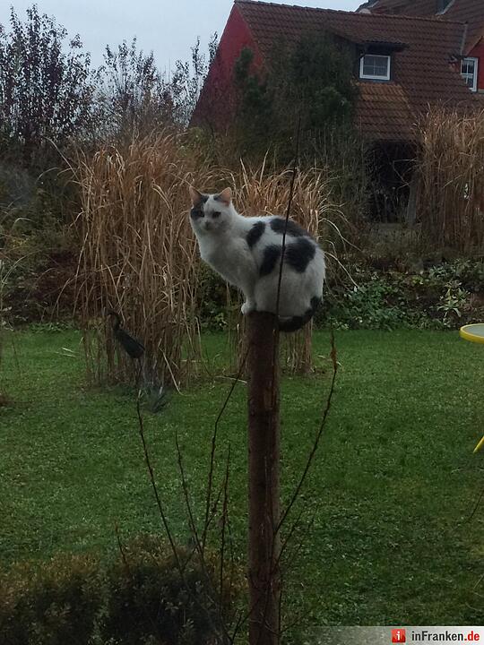 Foto: Samira Jeschek