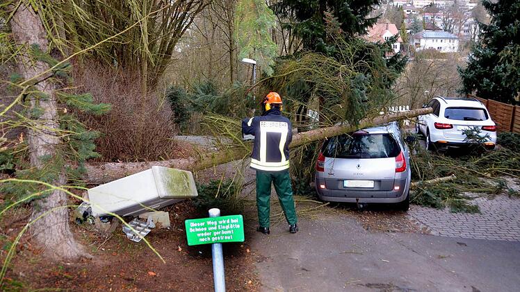In der Bad Kissinger Schönbornstraße beschädigte ein umfallender Baum einen Stromkasten. Foto: Peter Rauch