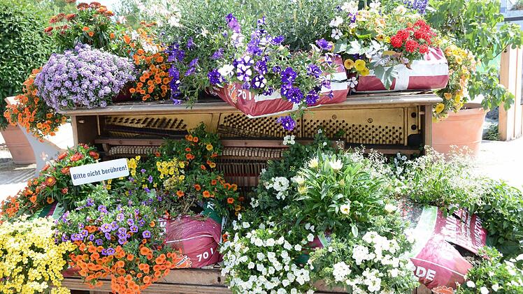 Impressionen von der Landesgartenschau in Bayreuth Foto: Dagmar Besand