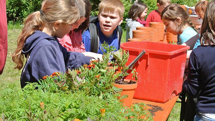 Dichtes Gedränge herrschte am Abfang bei der Pflanzaktion.